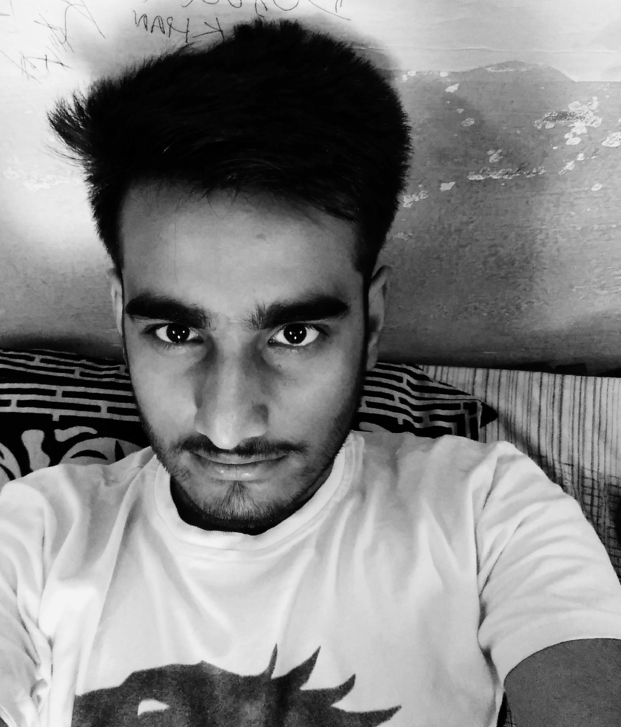My Picture